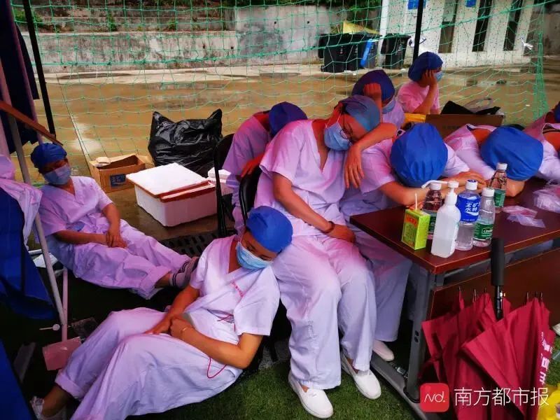 中超今夜走向成谜，费耶诺德调整名单，震撼外界，医务组通报恢复